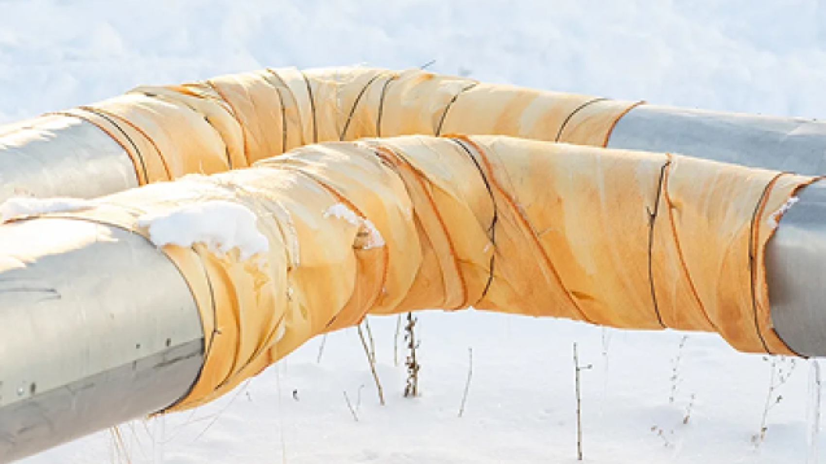 Rectangle-2-6-637x439