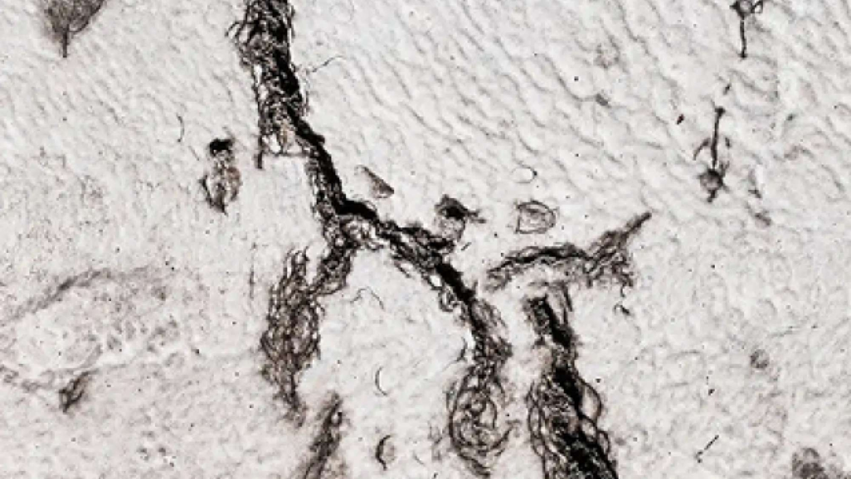 Rectangle-2-7-637x439-1-2000x1125