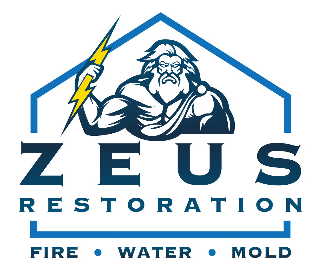 Zeus Restoration