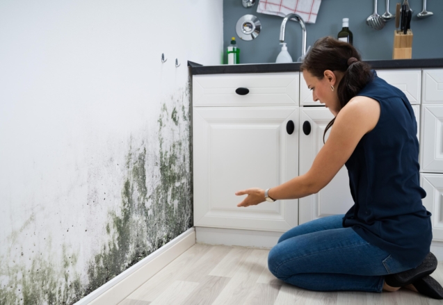 Woman Looking At Mold Wall Damage